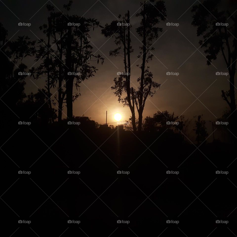 Basking in the tranquility of twilight, where silhouettes dance along the horizon and the sun kisses the day goodbye.