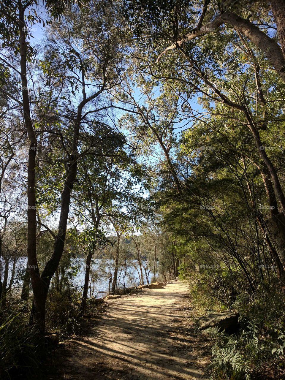 Walking Trail