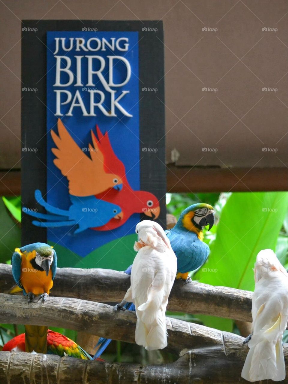 bird park