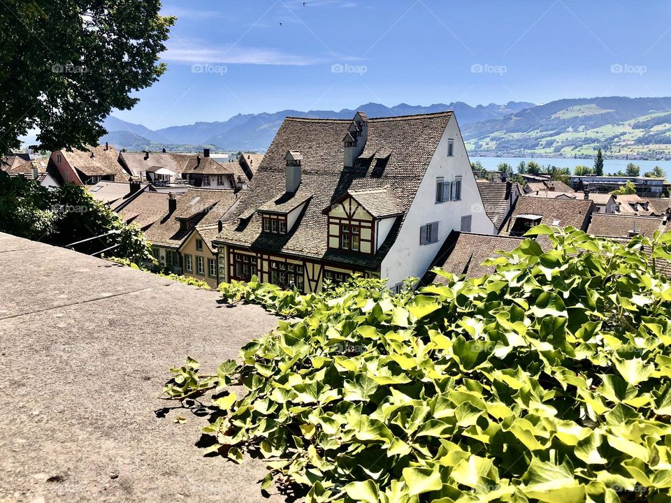 Vines taking over this village view in Switzerland 