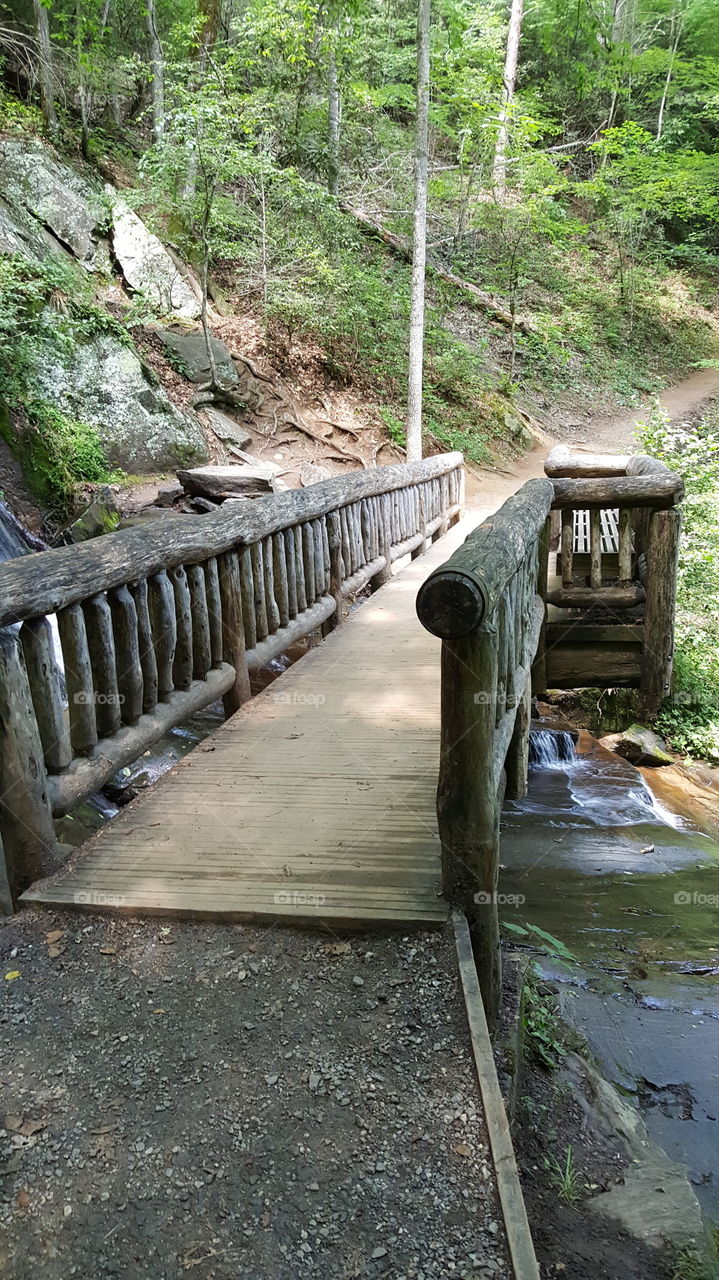 wooden hiking bridge