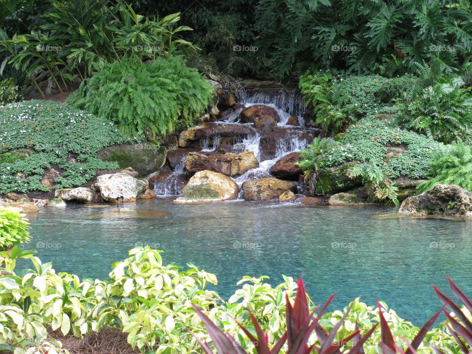 Beautiful little waterfall