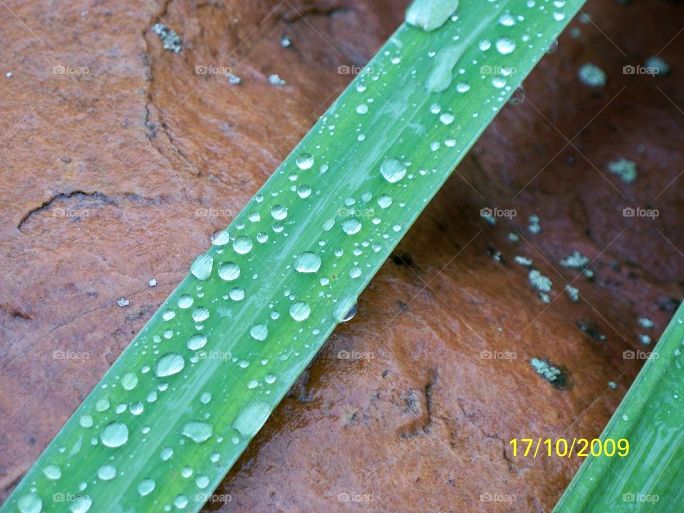 После дождя