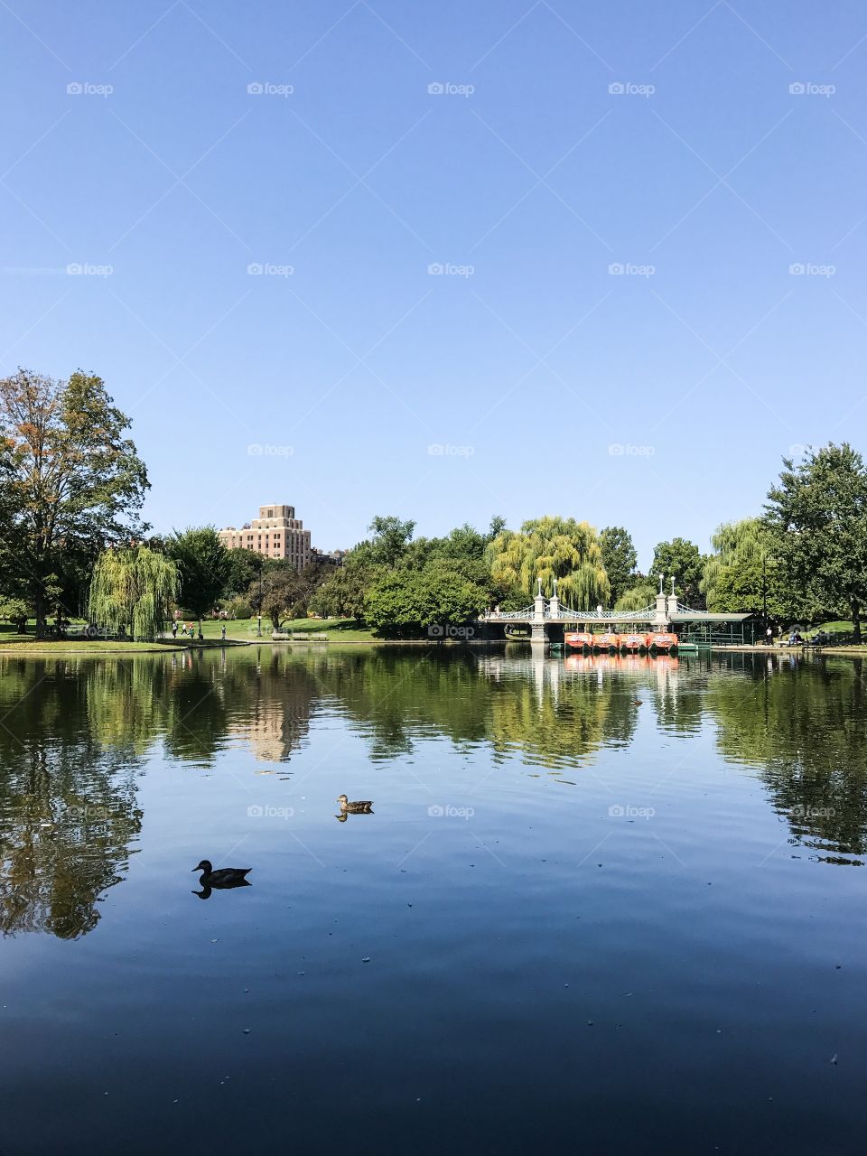 Public Garden in Boston