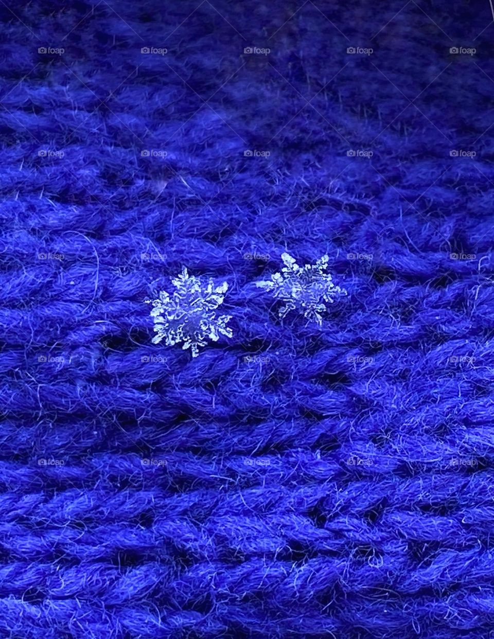 Snowflakes 