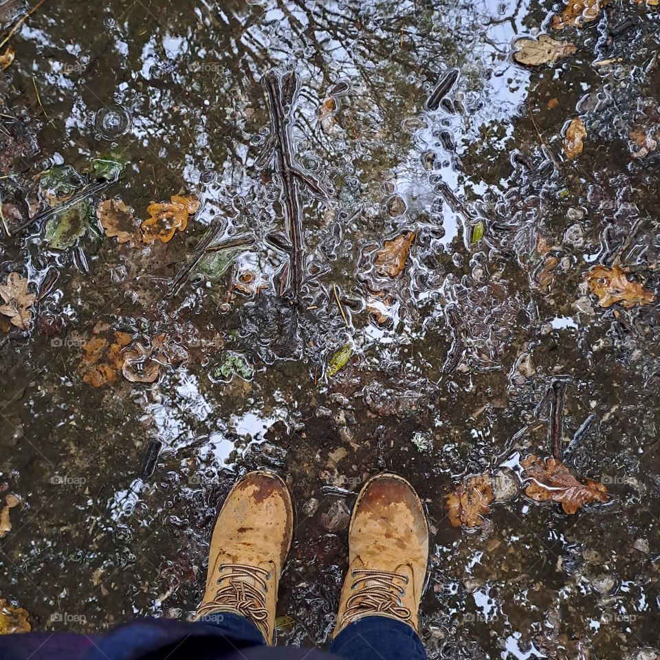Brown boots standing in rain puddles with reflection of trees and sky above. Autumn leaves