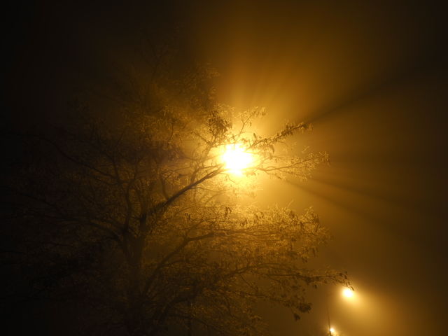 Night