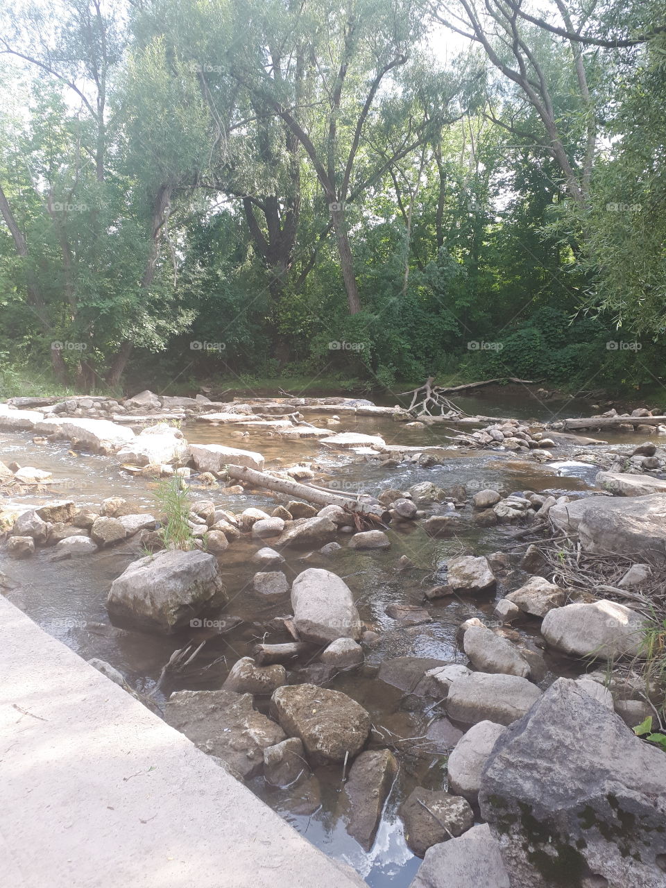 Waterfall spot in Milton Ontario