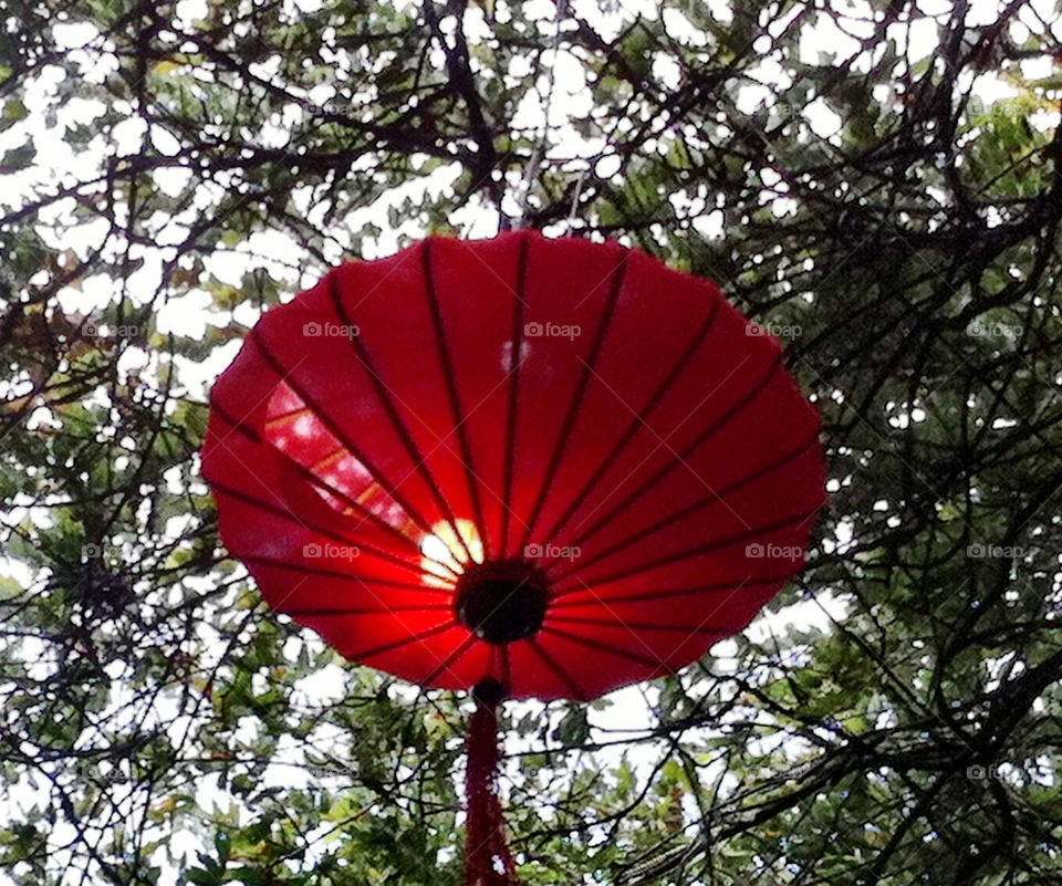 torn green red color by king