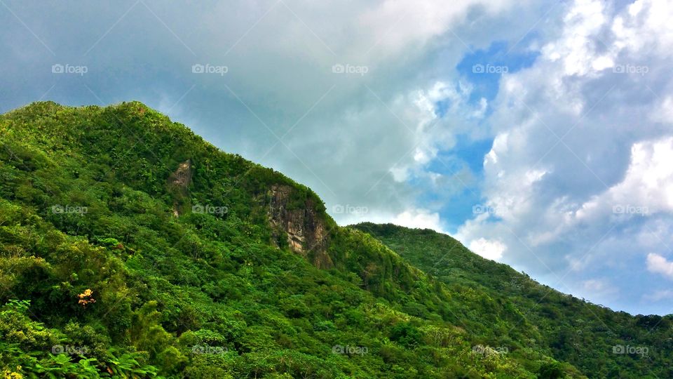 Peak of El Yunque rain Forest about 3400 feet above sea level San Juan