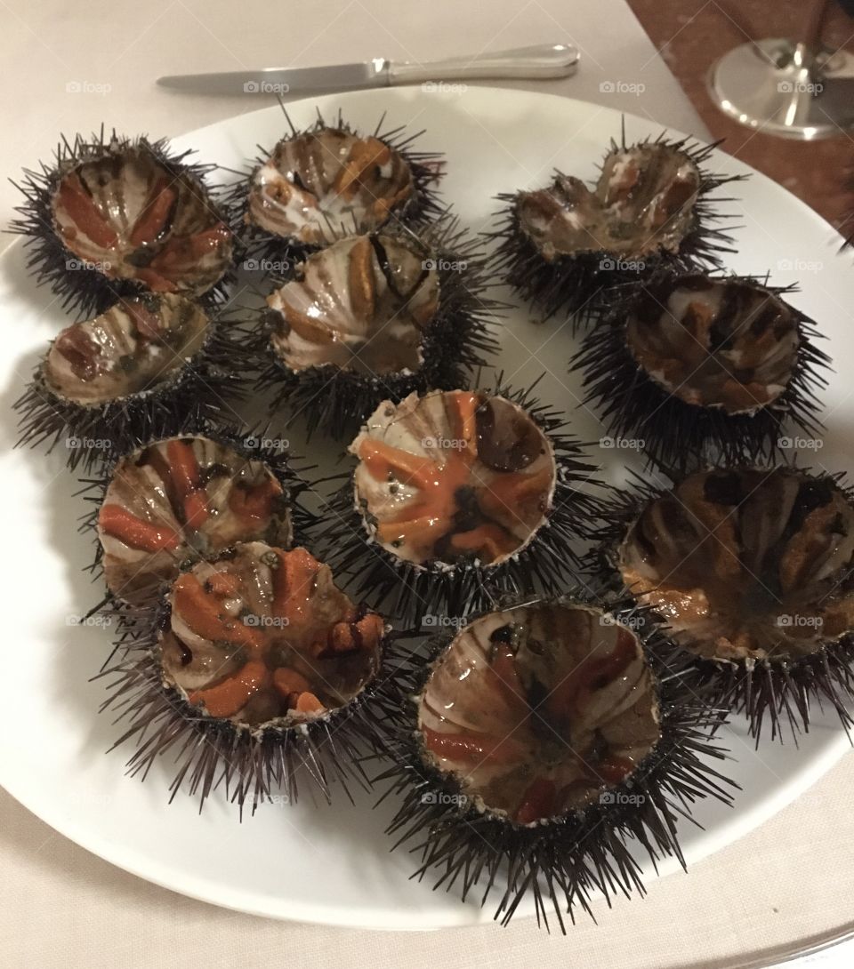 Sea urchins
