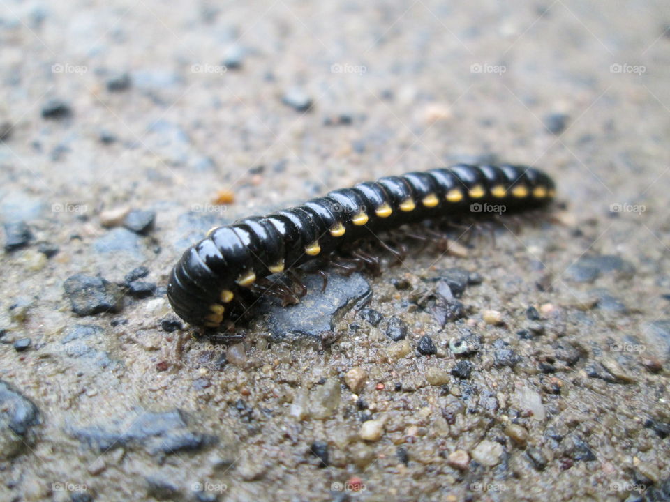 Aaaaaaa. ?????!?????!???