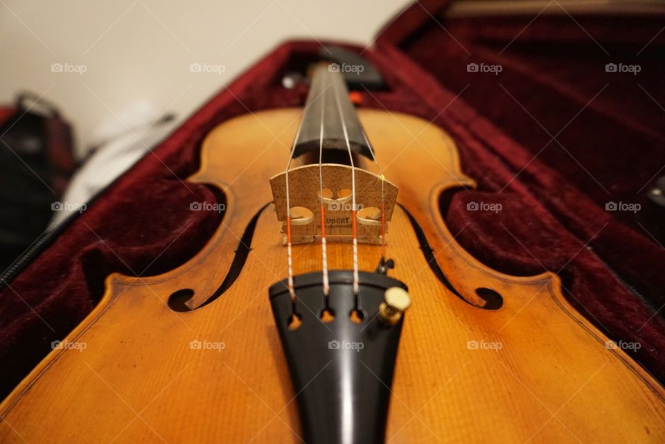 My Violin!