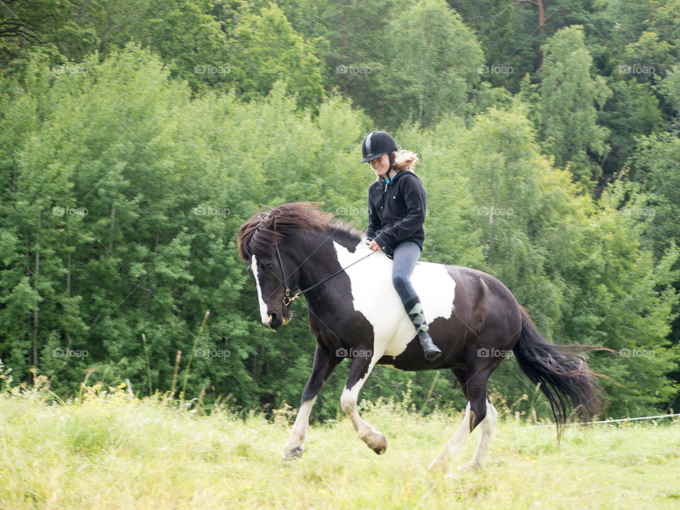 #häst #horse #islandshäst #ryttare #hästtjej #ridning #riding #horsebackriding #barbacka #Lumix Barbackaridning #trav #galopp #skritt #skritta #träns #sommar #sverige #svensksommar #sommarlov #stockholm #sweden #swedishsummer #summer 