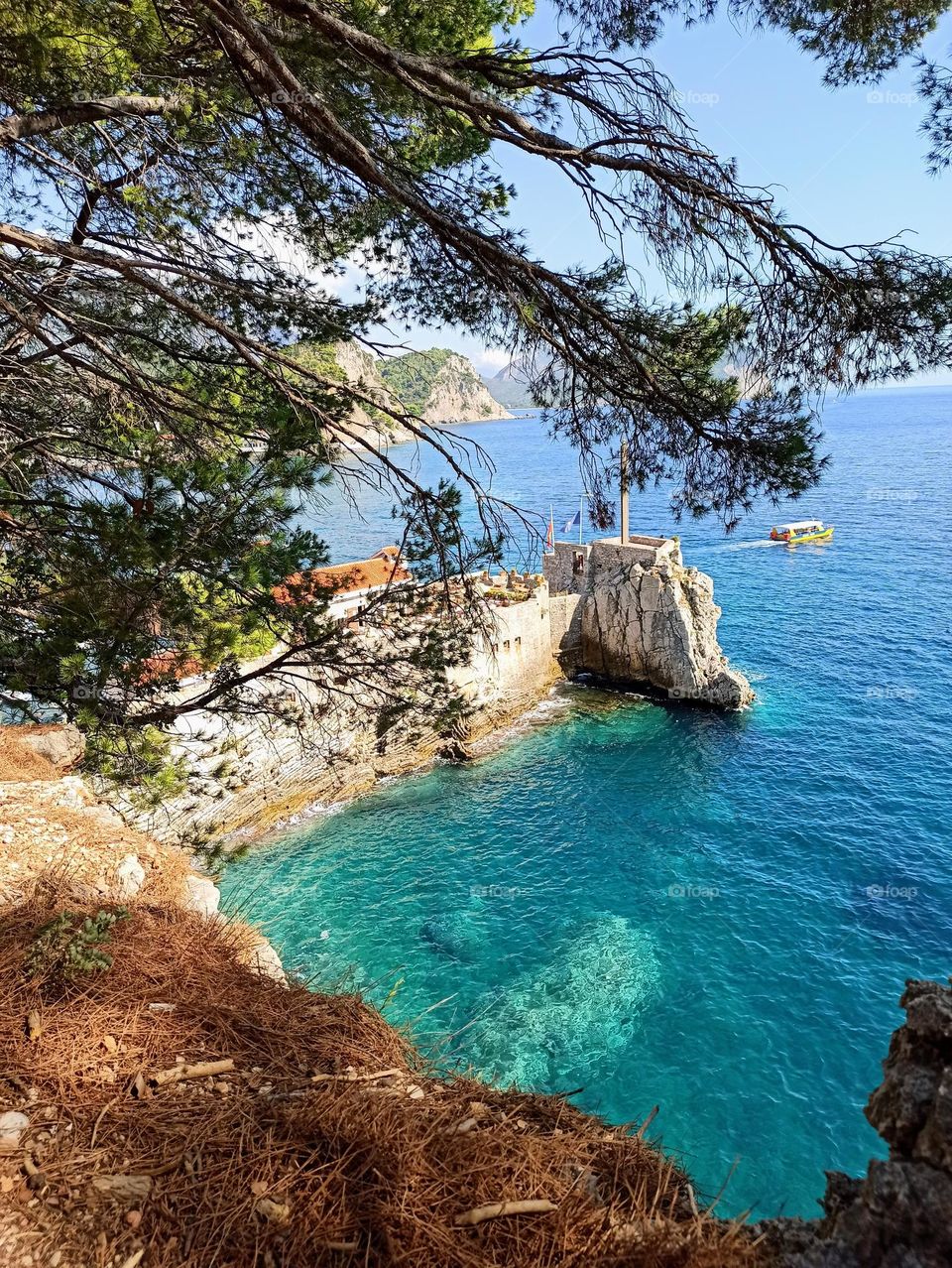 Battle: Summer vs. Spring