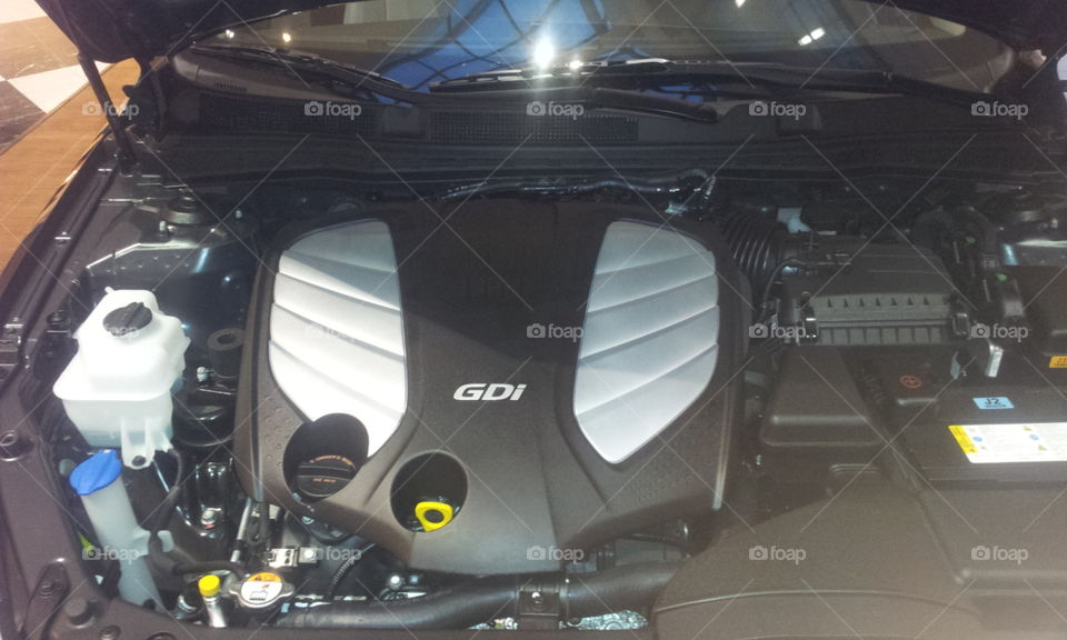 2014 Kia Cadenza engine