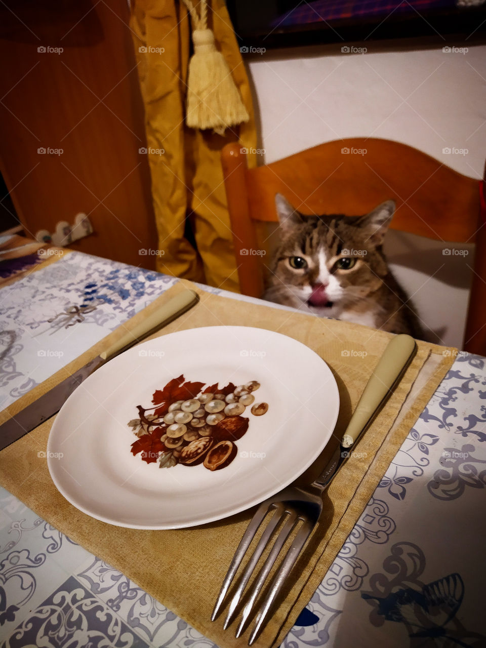 The cat that sits at the dinner set and licks its lips