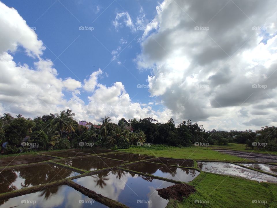 ✨ Sceneries around us ♥️