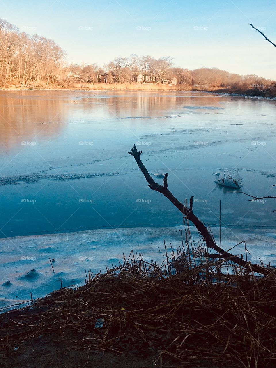 Frozen landscape 