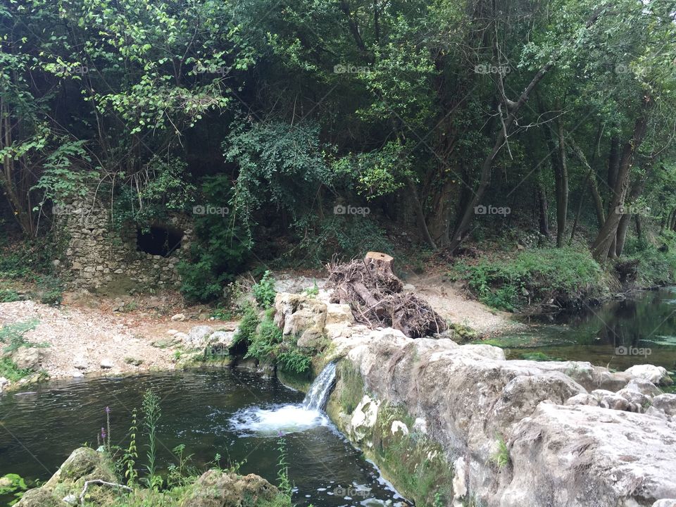 Water stream in forest