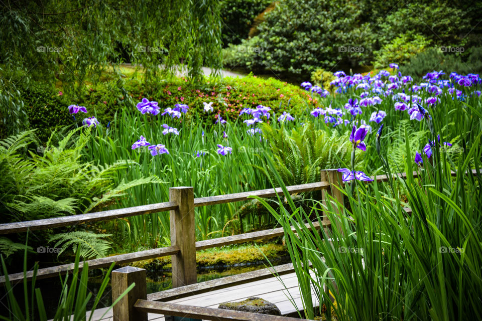 Portland Japanese Garden