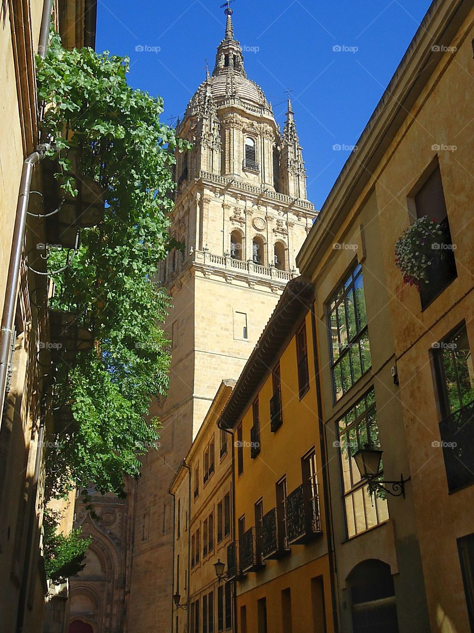 One of the many Salamanca's churches tower