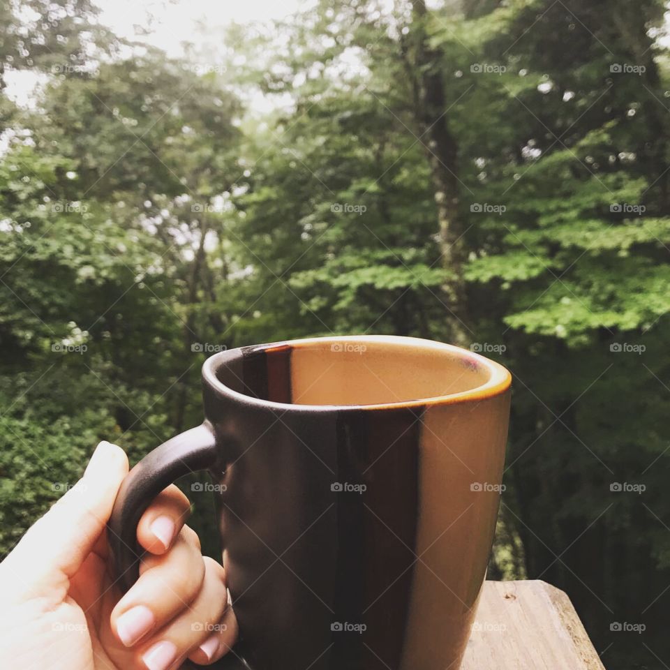 Coffee in the misty mountains
