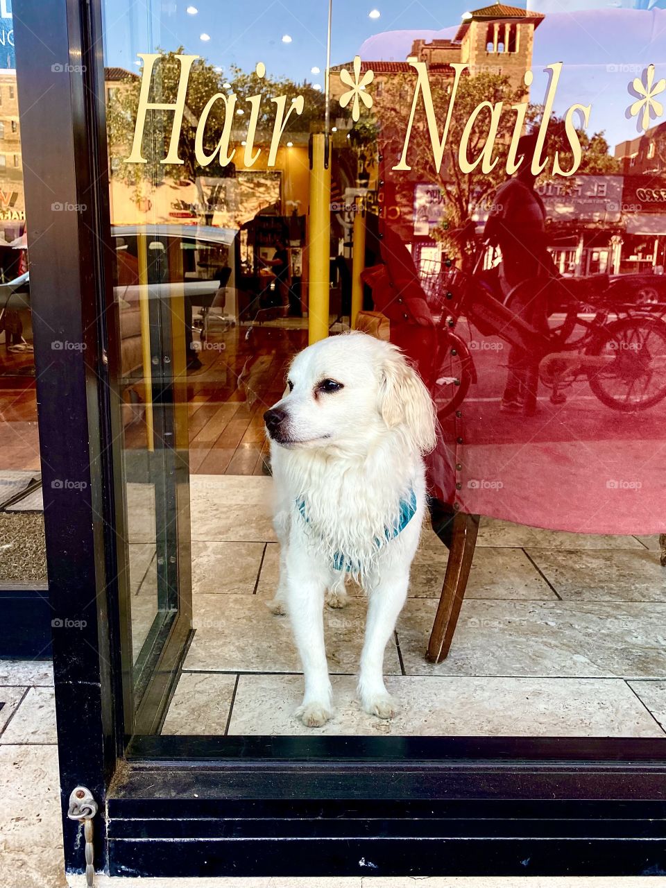 Northern Blvd, Jackson Heights, Queens, NYC, June 2021