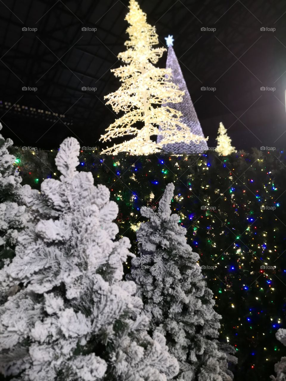 fake snow and trees, with lights through out the maze in the Enchantchristmas event in Seattle WA