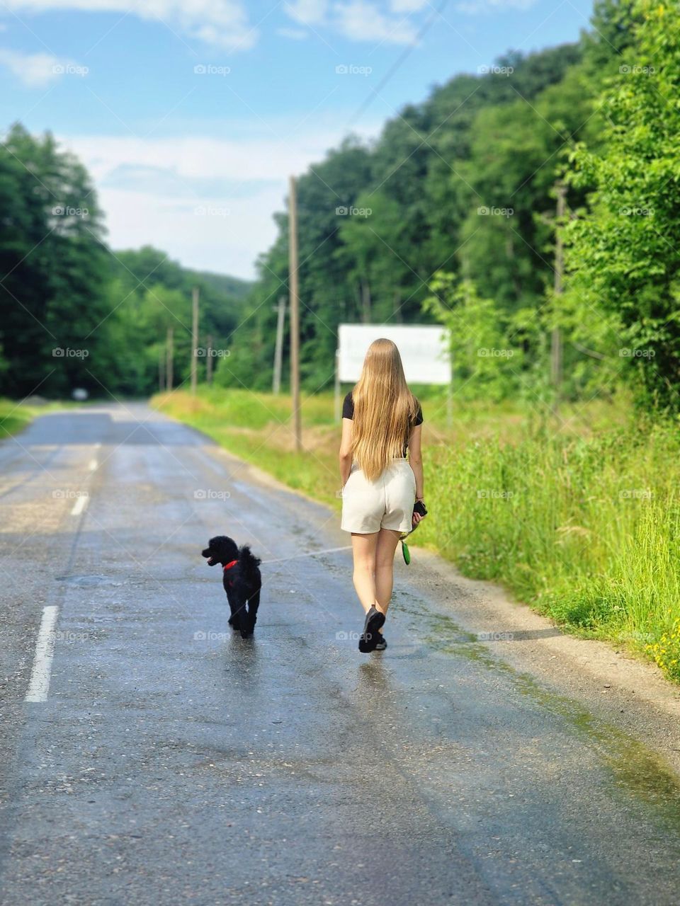 walk in nature after a summer rain
