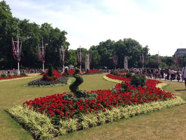 Red flowers in London 