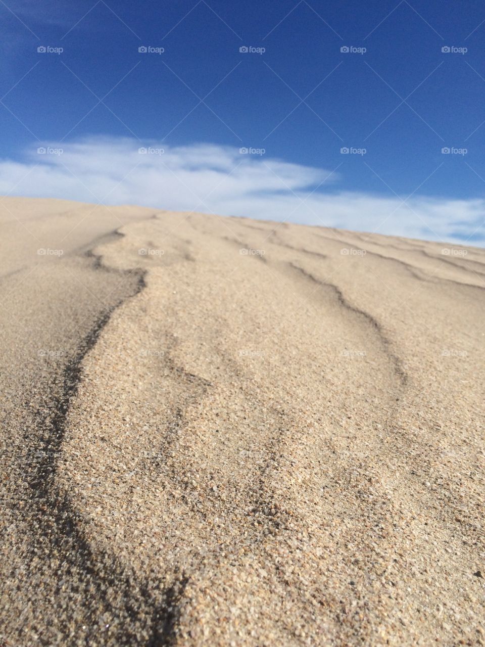 Peñasco Mexico Dunes