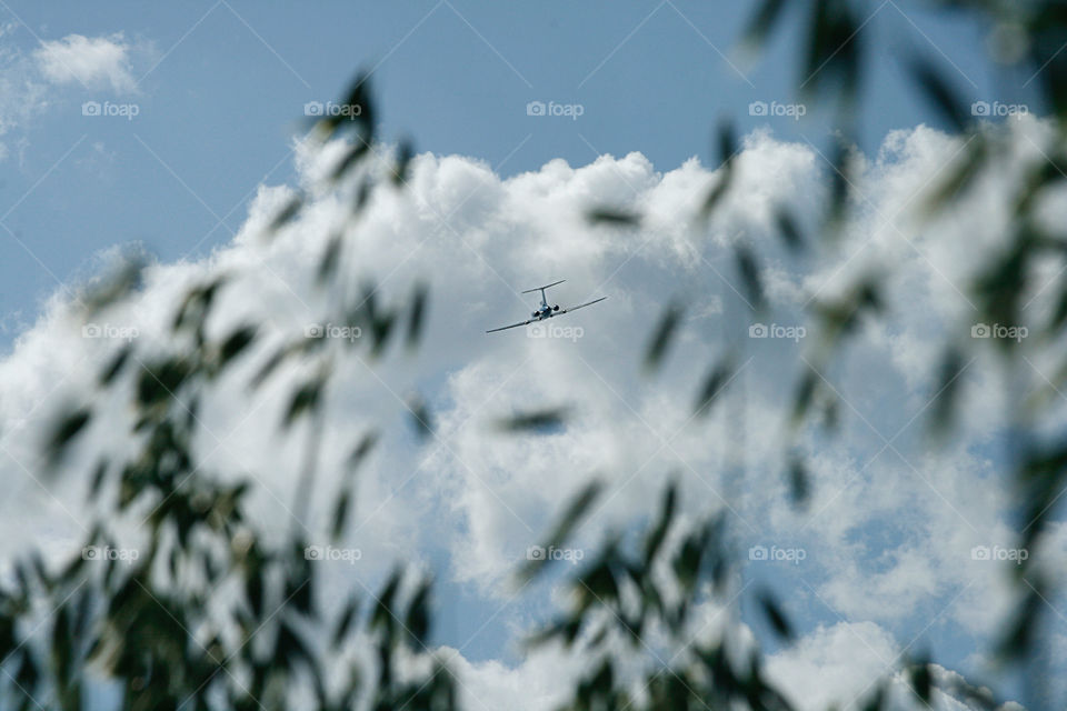 plane over the field