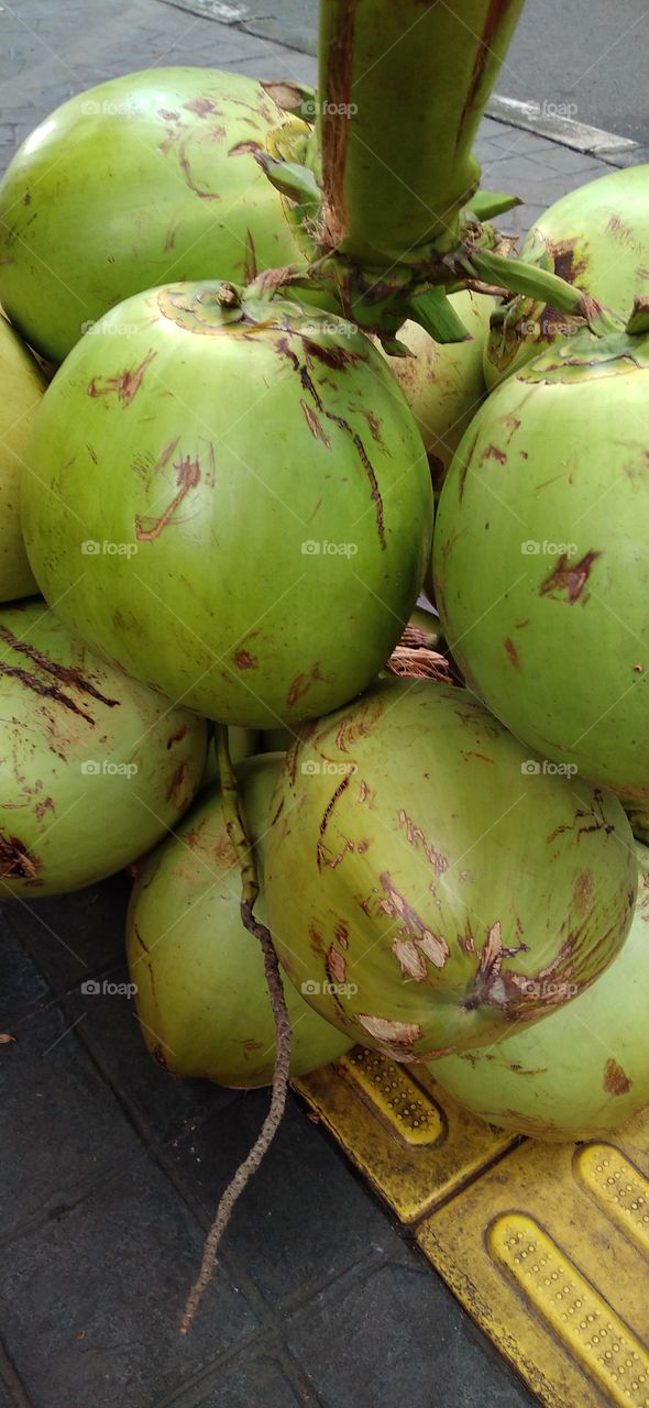 Piles of green coconuts on display.