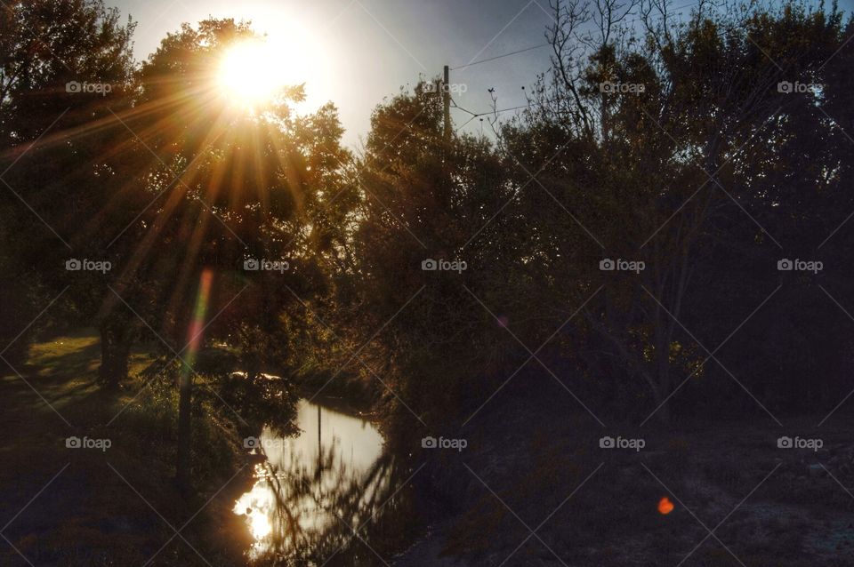 Sun rays streaming on a creek 