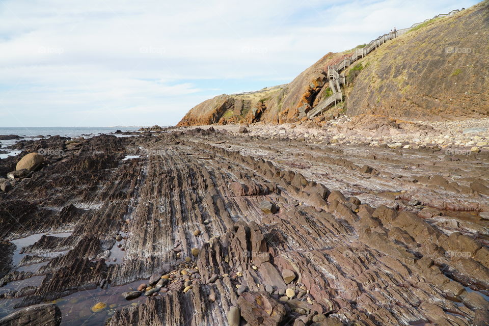 Halley Cove beach strata