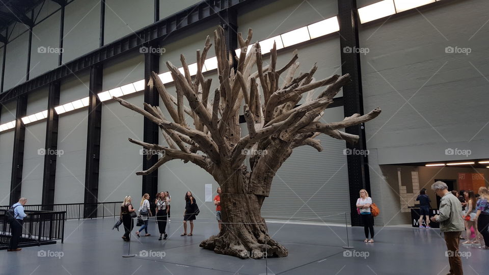 Baum im tade modern london