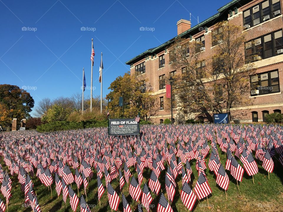 Field of flags at WCSU