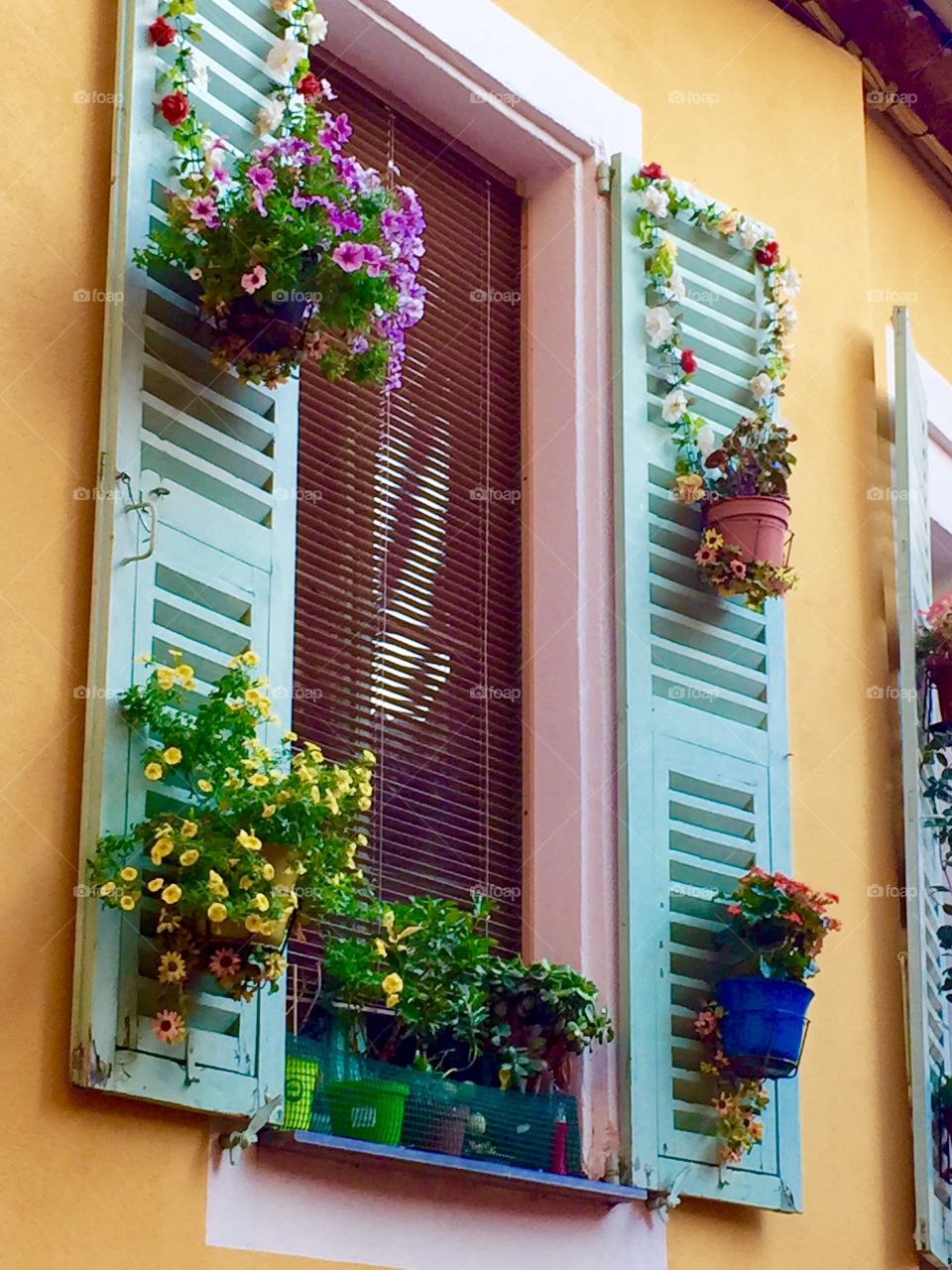 Menton Window