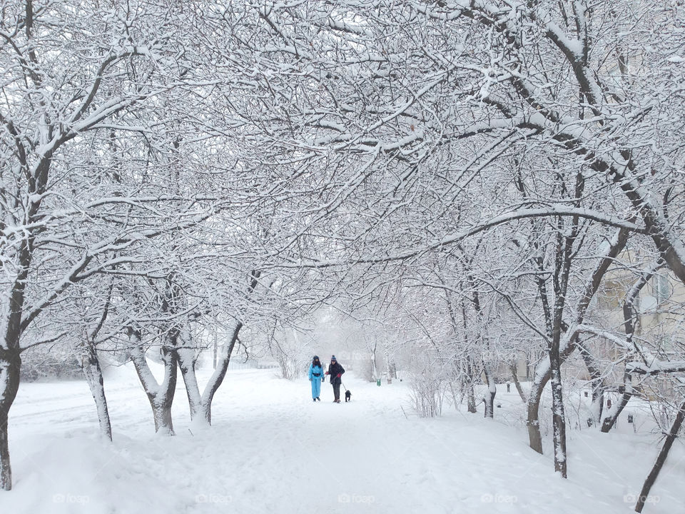 Two tiny figures of people walking with a dog under the snow covered trees 