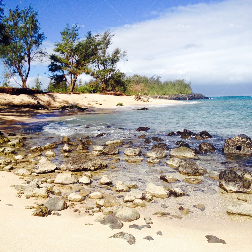 Water, Beach, Seashore, Nature, Sea