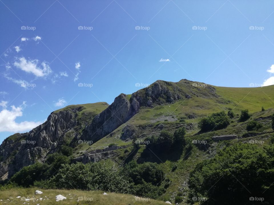 Mountain in the summer