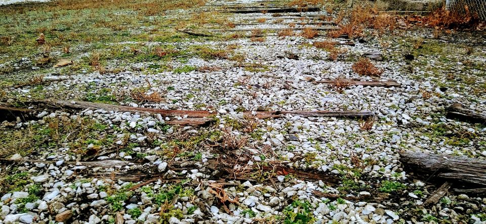 Lonely Without Trains