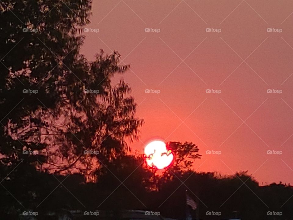 Firey sun behind trees
