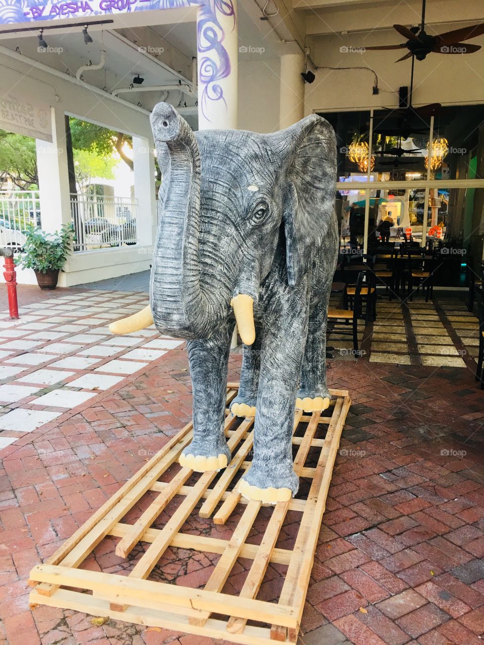 Elephant Sculpture 