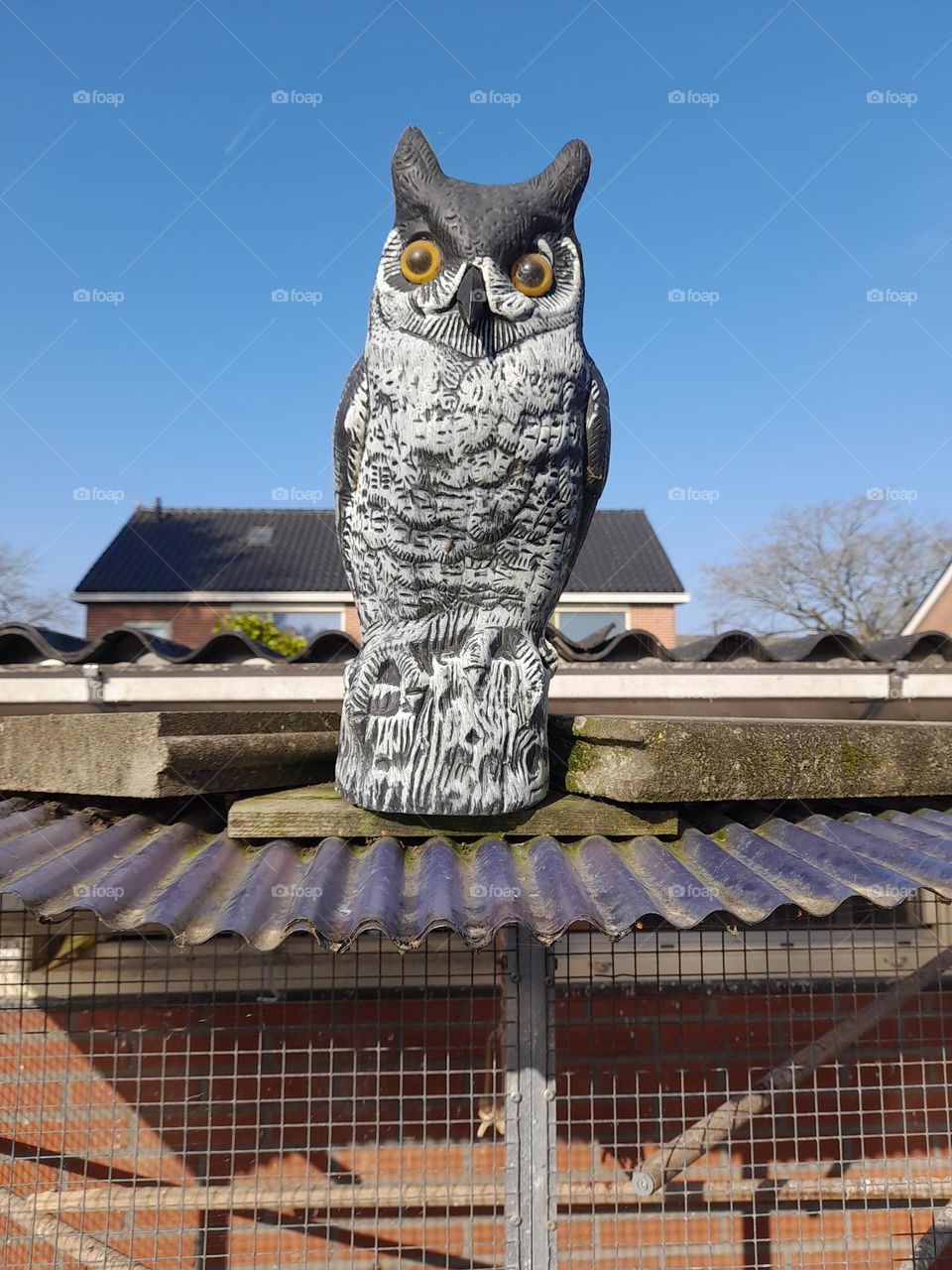 Statue of a stone owl