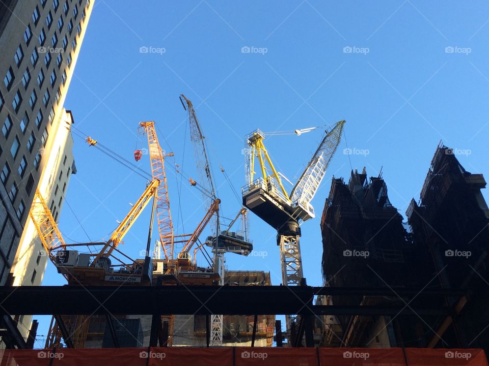 Construction Crane Chorus 