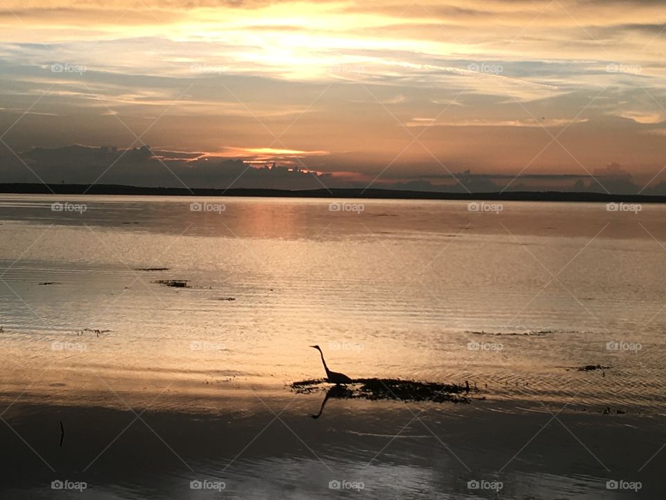 Sunset at Lake Apopka Florida 