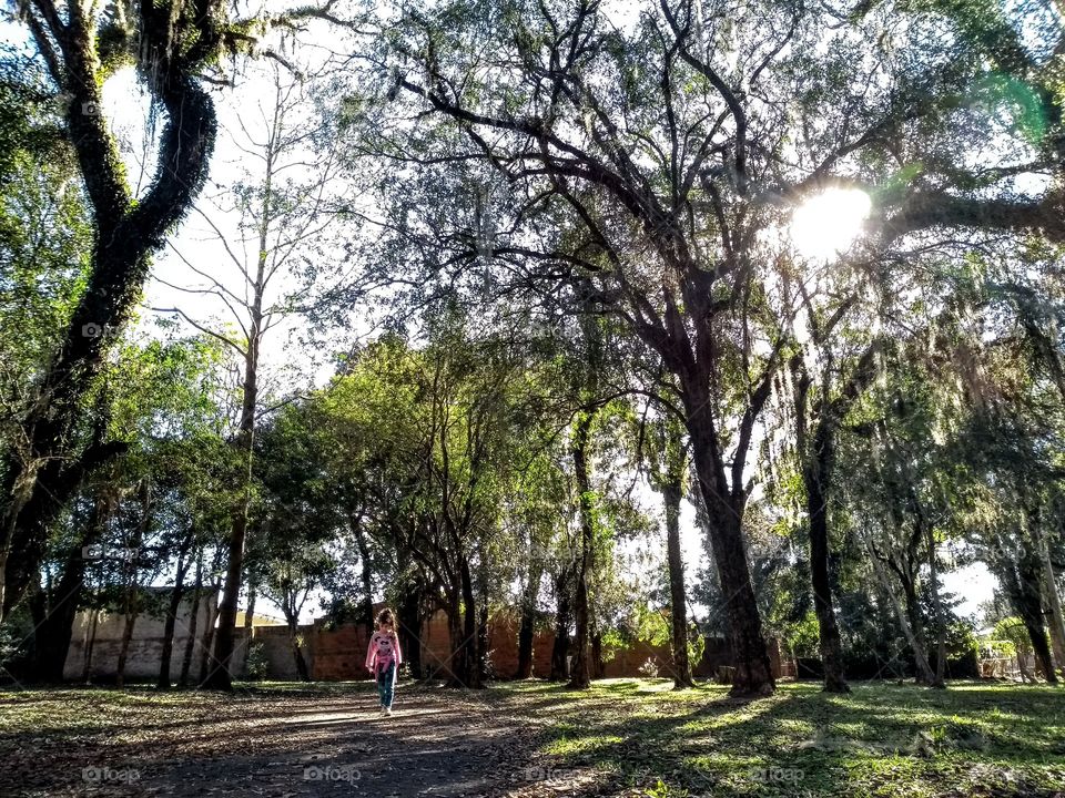 afternoon at the park