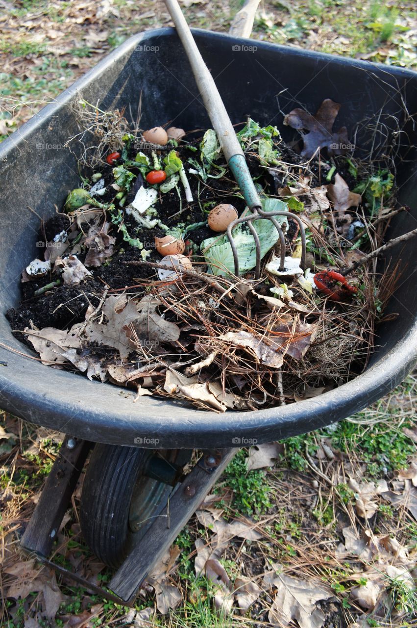 Garden Composting. A broken wheelbarrow used as a garden composting bin.